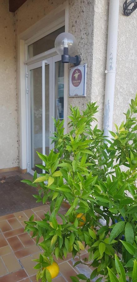 Le Zanchettin Hotel Mont-de-Marsan Luaran gambar