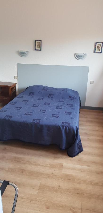 Le Zanchettin Hotel Mont-de-Marsan Luaran gambar